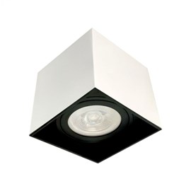 Plafon Box PAR30 14x15,5x15,5cm Branco com Recuo Preto Moon 1060827